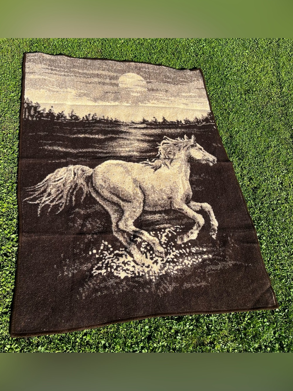 Vintage Western Horse Themed Reversible Blanket